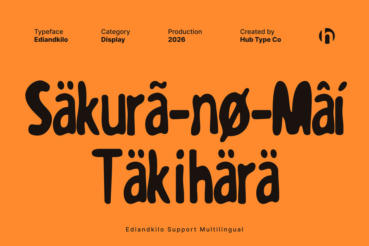 Ediandkilo – Playful & Bold Display Typeface by Hub Type Co, preview 8