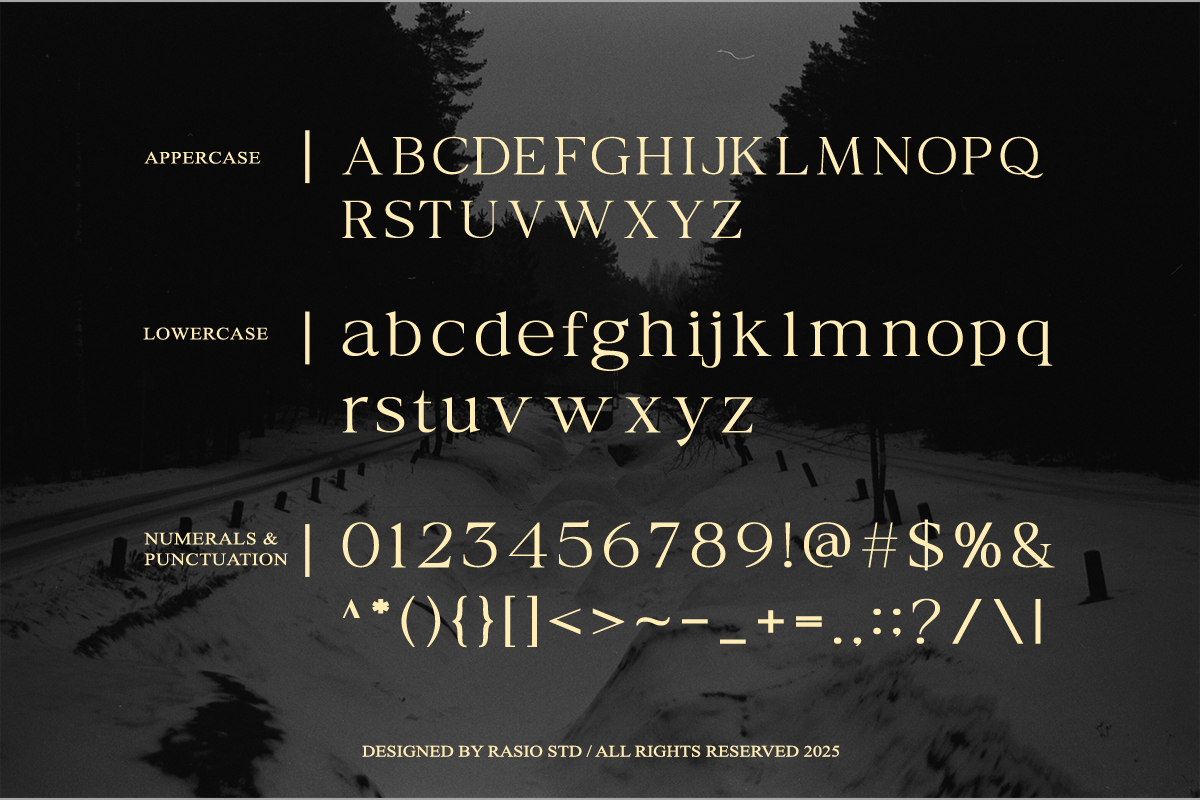 ekegie-modern-decorative-serif-font-rasio-std-2.png