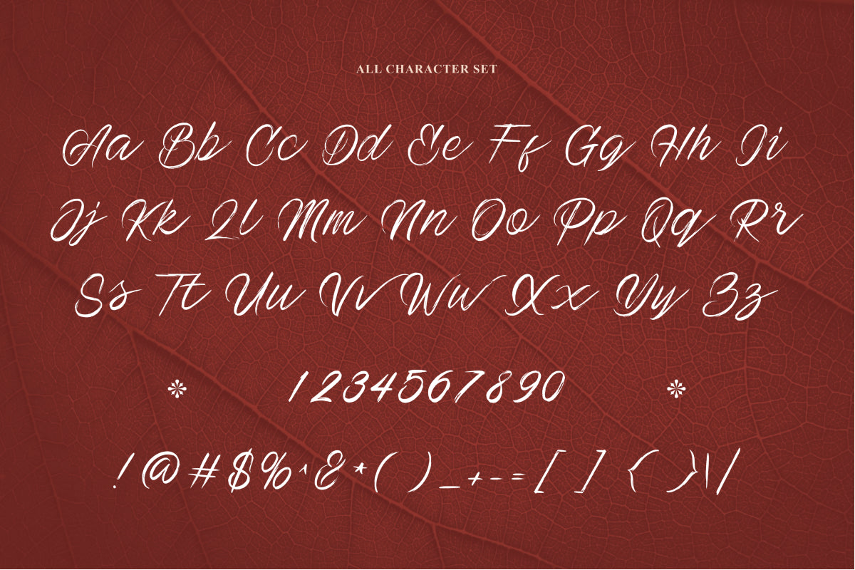 elfina-brush-script-font-catalystco-studio-2.jpg