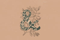 Elijah Sans Serif Display Font