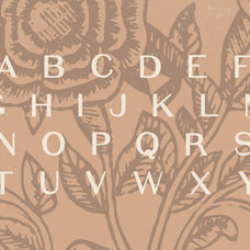 Elijah Sans Serif Display Font