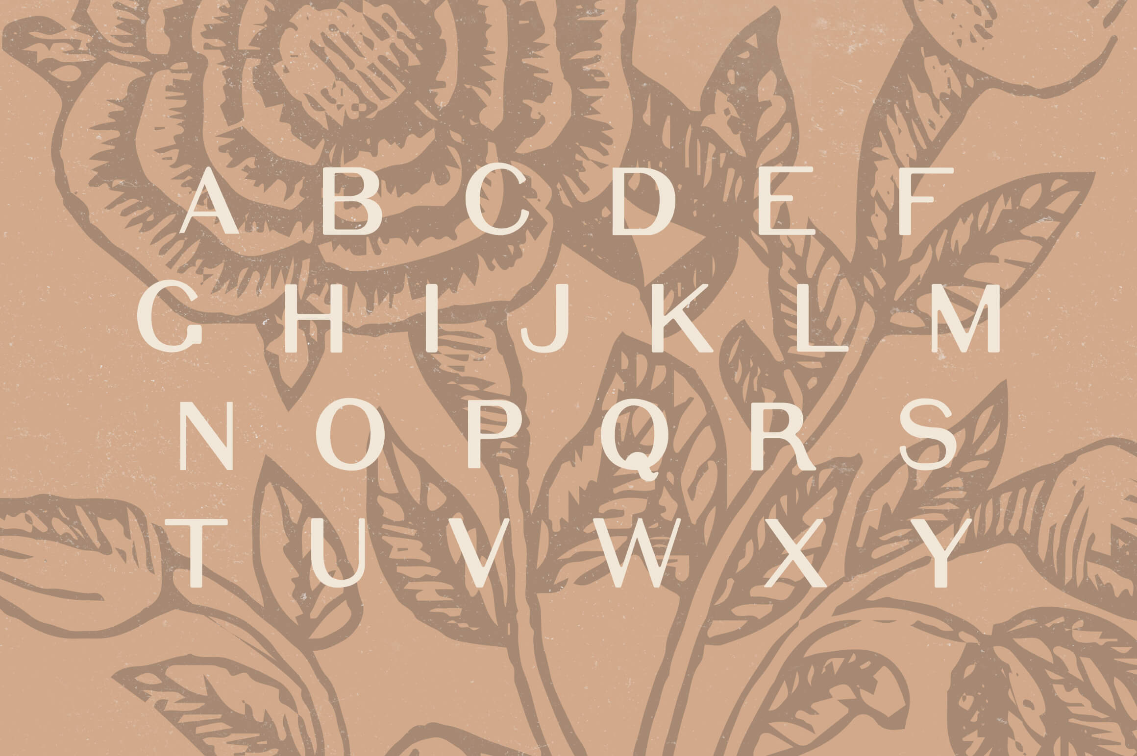 Elijah Sans Serif Display Font