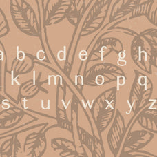 Elijah Sans Serif Display Font