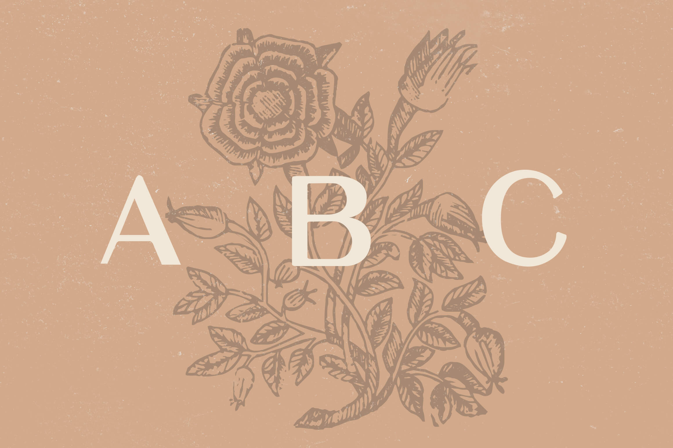 Elijah Sans Serif Display Font