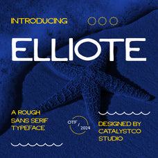 elliote-sans-serif-typeface-font-unknown-creator-1.jpg
