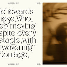 eloires-elegant-stylish-serif-font-unknown-creator-2.jpg