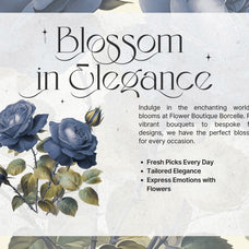 eloires-elegant-stylish-serif-font-unknown-creator-8.jpg
