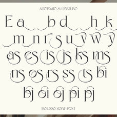 eloires-elegant-stylish-serif-font-unknown-creator-9.jpg