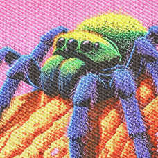 Embroidery Stitch Texture Effect
