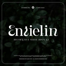 entielin-decorative-serif-display-font-rasio-std-1.jpg