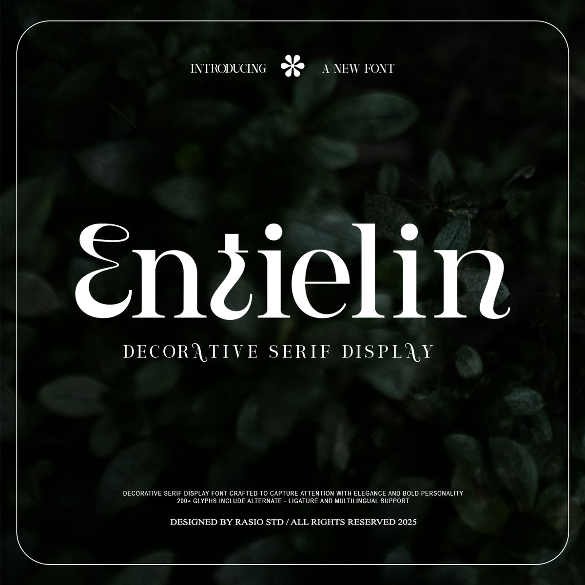 entielin-decorative-serif-display-font-rasio-std-1.jpg
