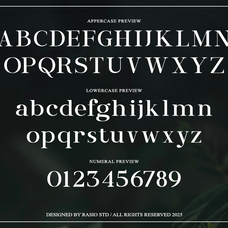 entielin-decorative-serif-display-font-rasio-std-2.png