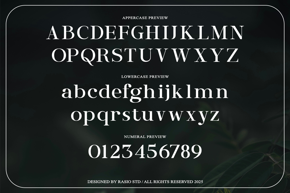 entielin-decorative-serif-display-font-rasio-std-2.png