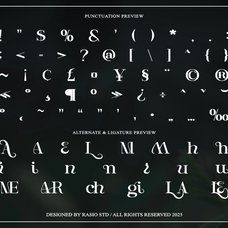 entielin-decorative-serif-display-font-rasio-std-3.png