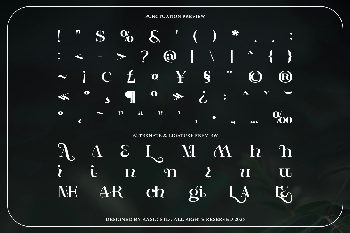 entielin-decorative-serif-display-font-rasio-std-3.png
