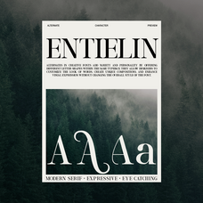 entielin-decorative-serif-display-font-rasio-std-4.png