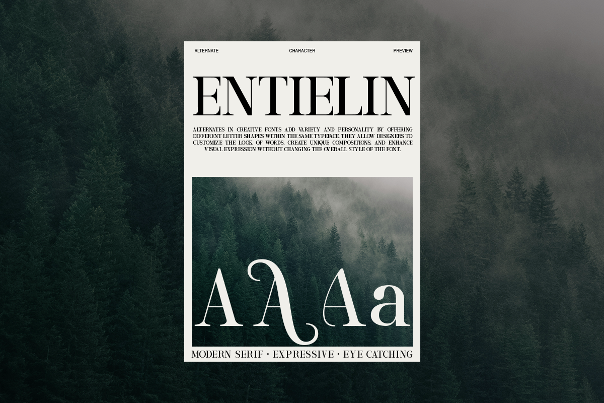 entielin-decorative-serif-display-font-rasio-std-4.png