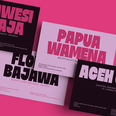 erabol-bold-condensed-display-font-ragamkata-studio-9.png