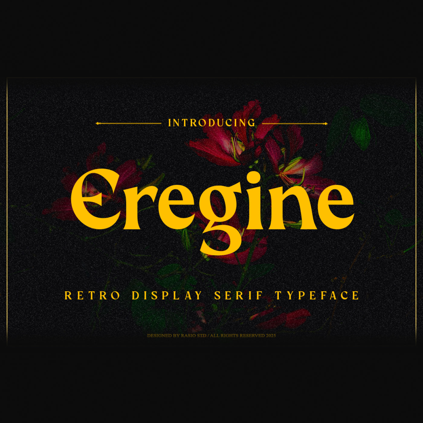 eregine-retro-display-serif-typeface-font-rasio-std-1.jpg