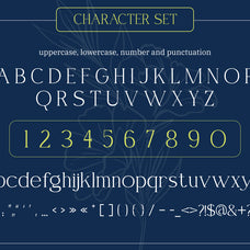 erendela-stylish-serif-font-vadova-studio-2.jpg