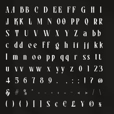 erione-bold-serif-font-rvandtype-10.jpg