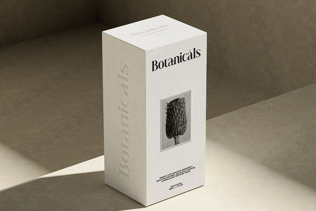 et-sandria-beauty-serif-unknown-creator-5.jpg