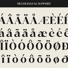 ethereal-glamour-modern-elegant-serif-say-studio-12.png