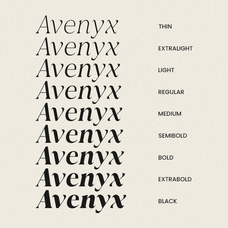 ethereal-glamour-modern-elegant-serif-say-studio-8.png
