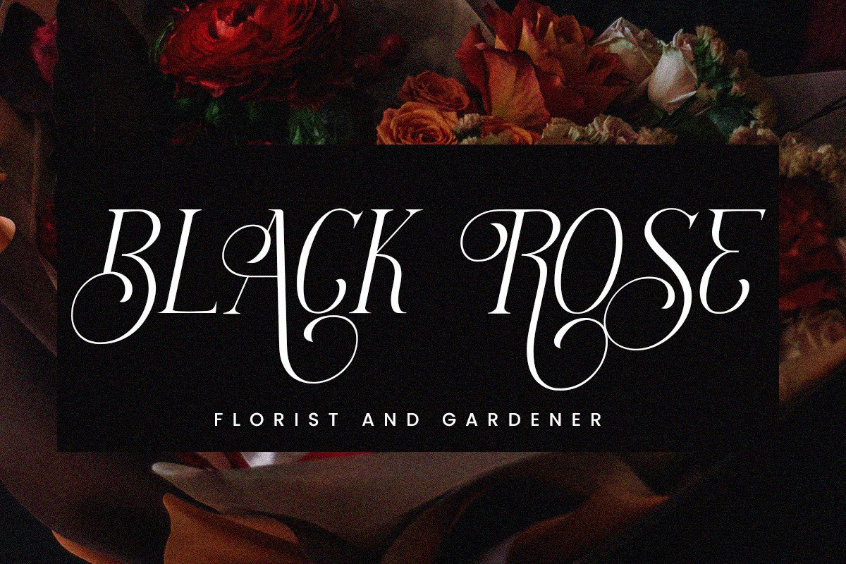 extra-mage-luxury-decorative-serif-font-say-studio-12.jpg