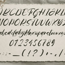fafrely-auntum-classy-script-font-tyedge-studio-3.jpg