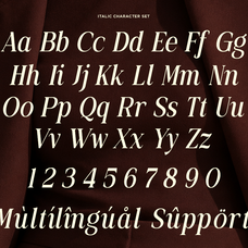 family-elegant-serif-font-actrist-stylish-fontliner-10.png