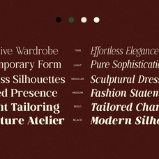 family-elegant-serif-font-actrist-stylish-fontliner-5.png
