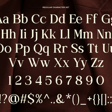 family-elegant-serif-font-actrist-stylish-fontliner-9.png