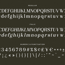 family-modern-serif-font-wonder-society-fontliner-10.png