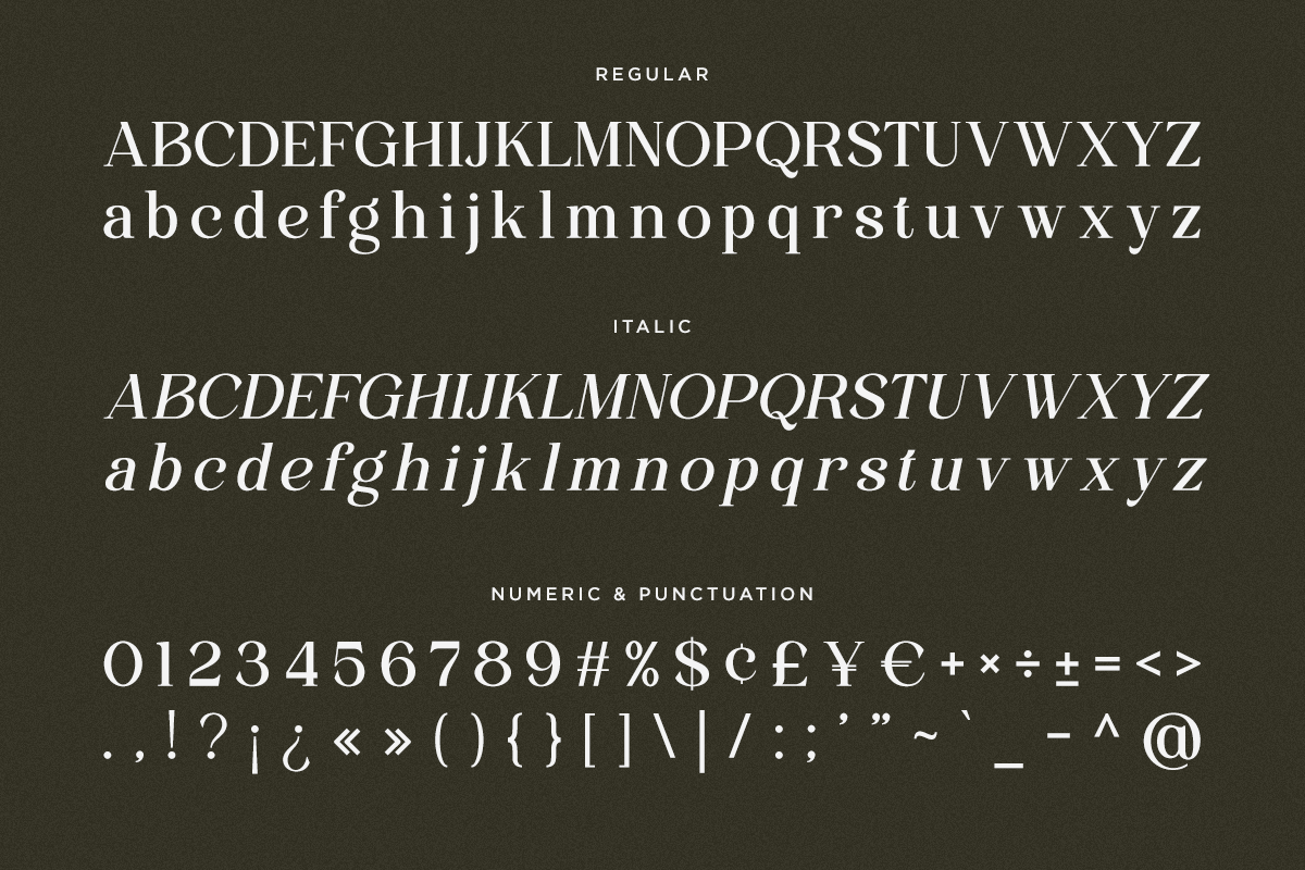 family-modern-serif-font-wonder-society-fontliner-10.png