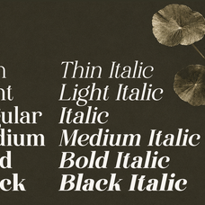 family-modern-serif-font-wonder-society-fontliner-5.png