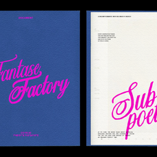 fantase-modern-handwritten-script-typeparties-6.png