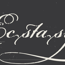 Fantasia TM