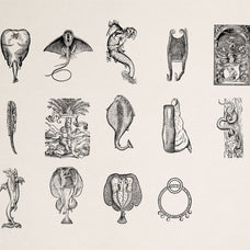 Fantastic Beasts