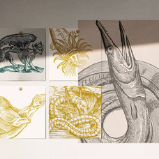 Fantastic Beasts