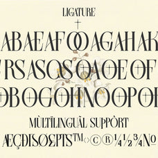 farqey-denours-modern-serif-font-unknown-creator-6.jpg