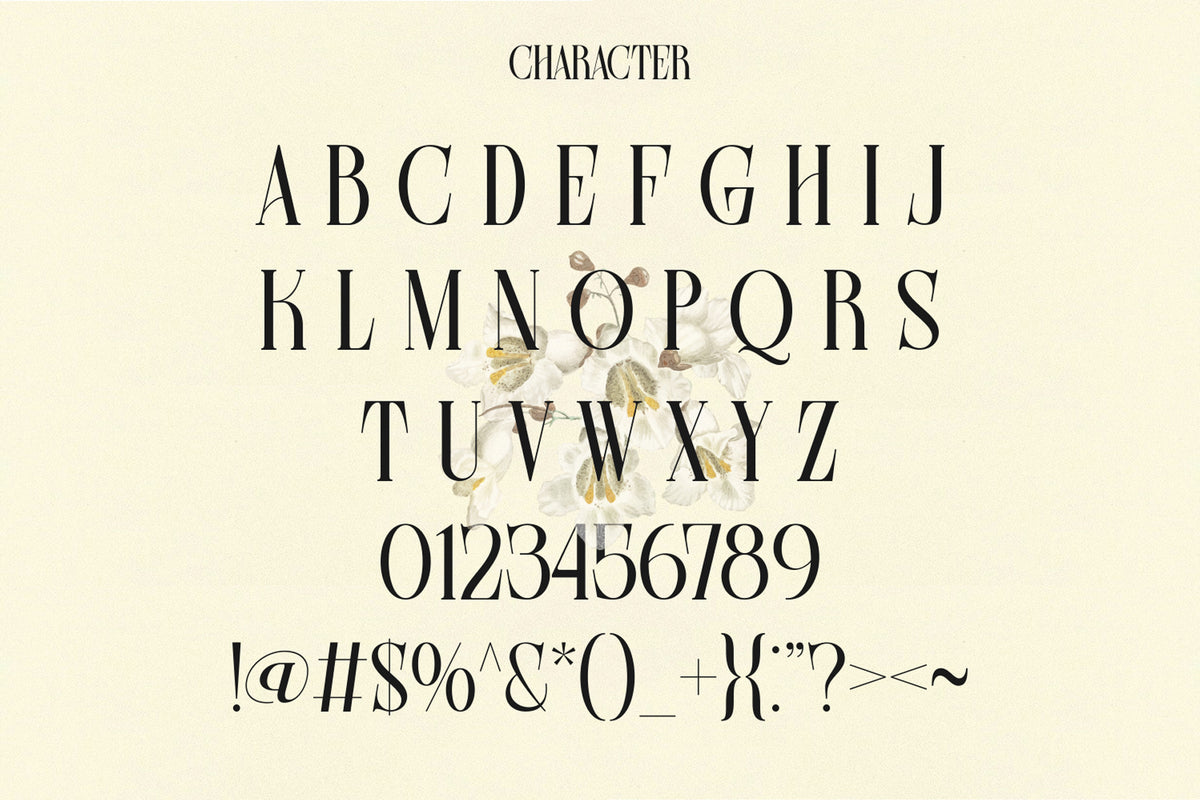 farqey-denours-modern-serif-font-unknown-creator-8.jpg