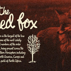 Fast Rewind: Nostalgic Brush Script Font