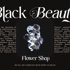 fastelar-luxury-fashion-serif-font-say-studio-10.png