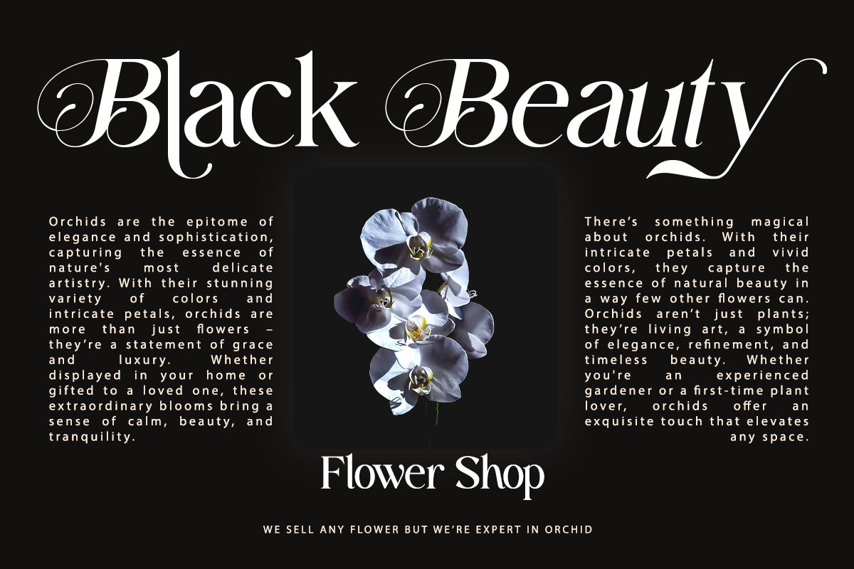fastelar-luxury-fashion-serif-font-say-studio-10.png
