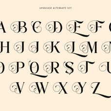 fastelar-luxury-fashion-serif-font-say-studio-8.png