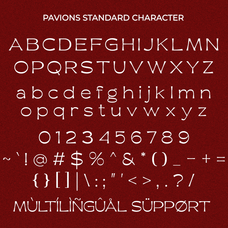 favions-classy-chic-serif-font-unknown-creator-8.png