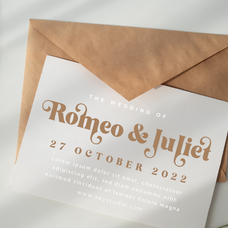 feathers-elegant-decorative-serif-font-say-studio-6.png