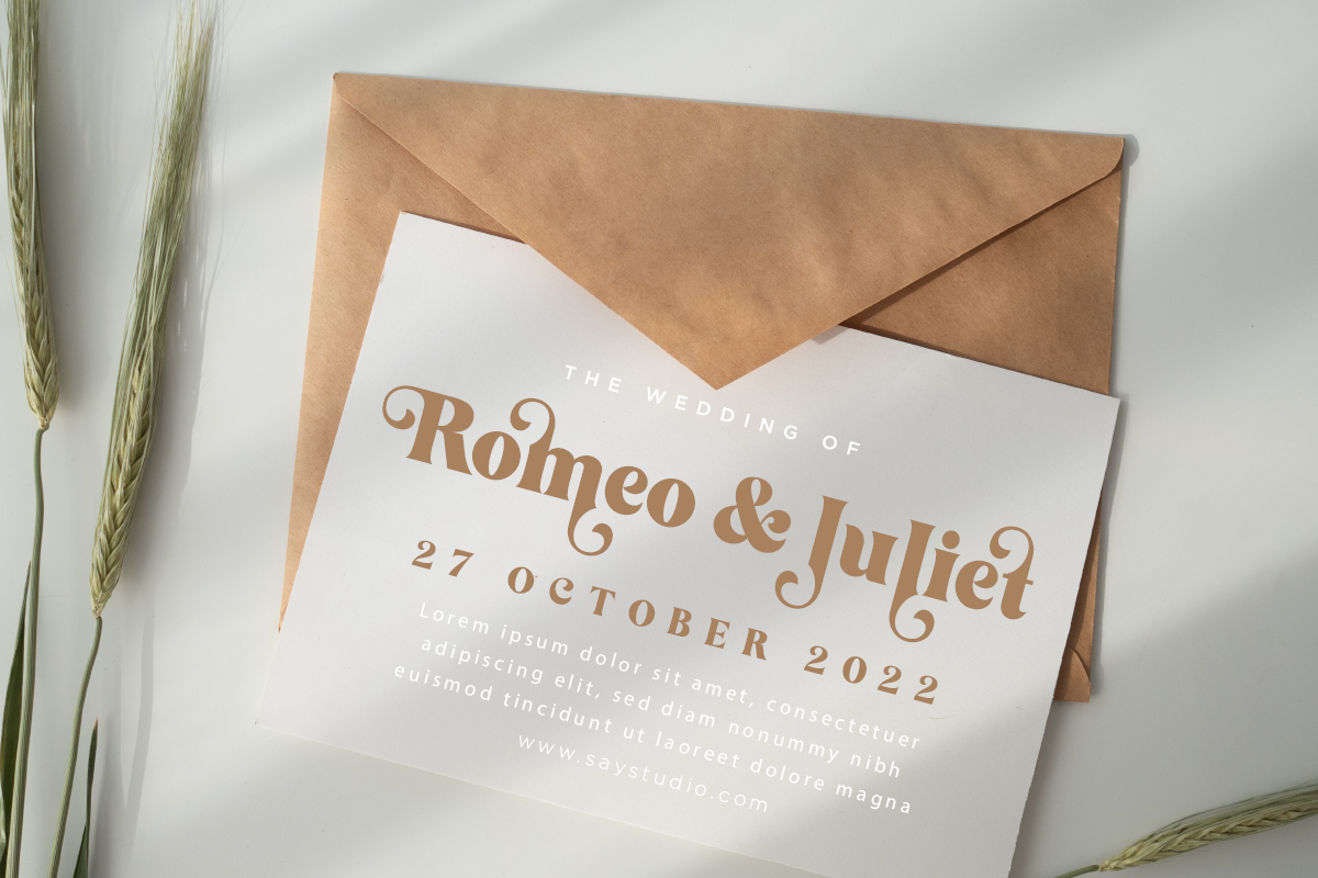 feathers-elegant-decorative-serif-font-say-studio-6.png