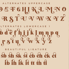 feathers-elegant-decorative-serif-font-say-studio-9.png